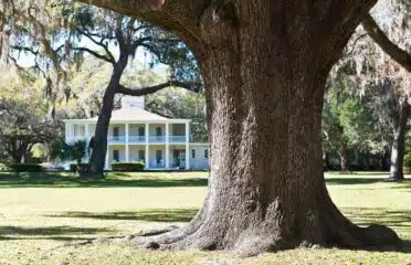 Eden Gardens State Park