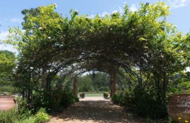 Monet Monet Gardens