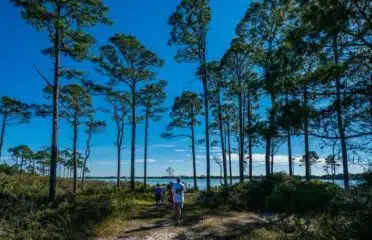 Topsail Hill Preserve State Park