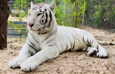 Emerald Coast Zoo