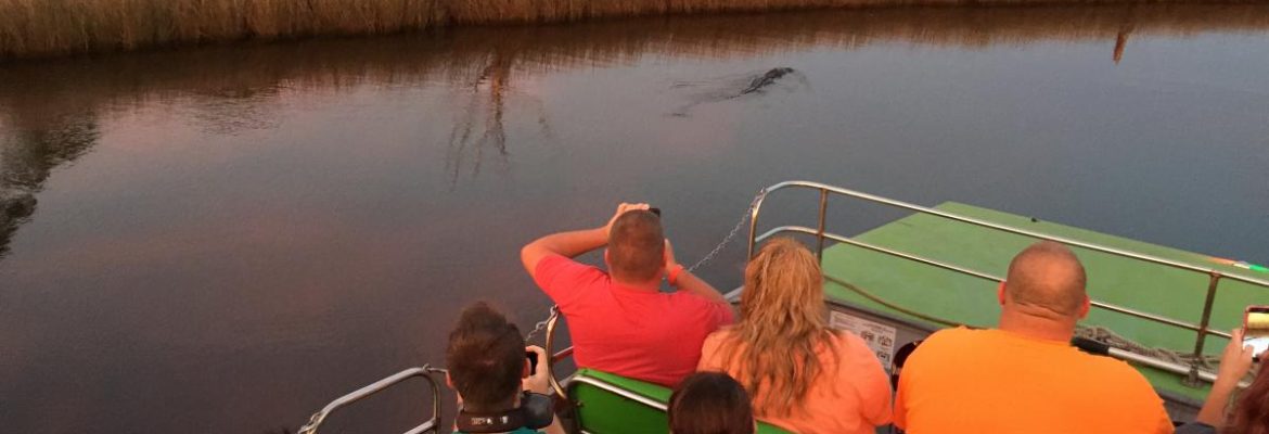Wild Thang Airboat Tours